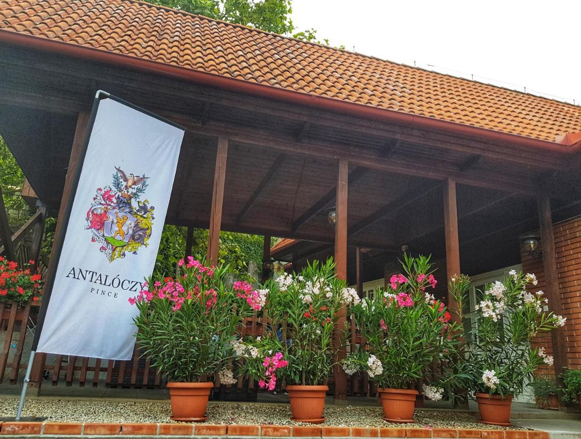 Antaloczy Winery&Apartments Tokaj Kültér fotó