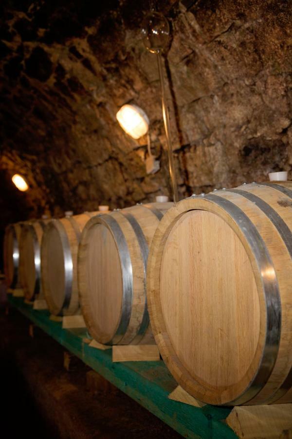 Antaloczy Winery&Apartments Tokaj Kültér fotó