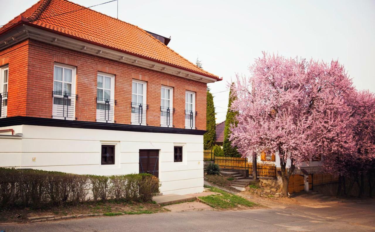 Antaloczy Winery&Apartments Tokaj Kültér fotó